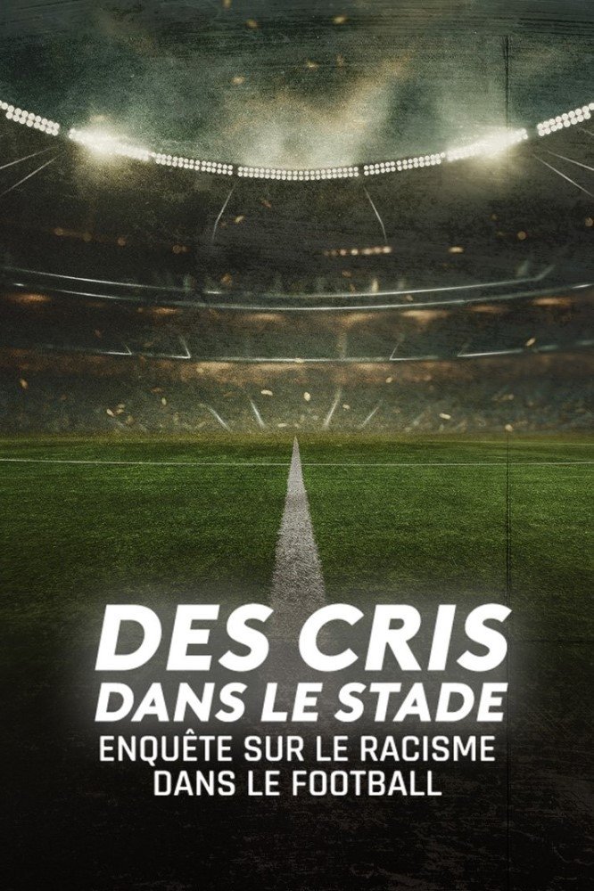 Poster de Des cris dans le stade, enquête sur le racisme dans le football