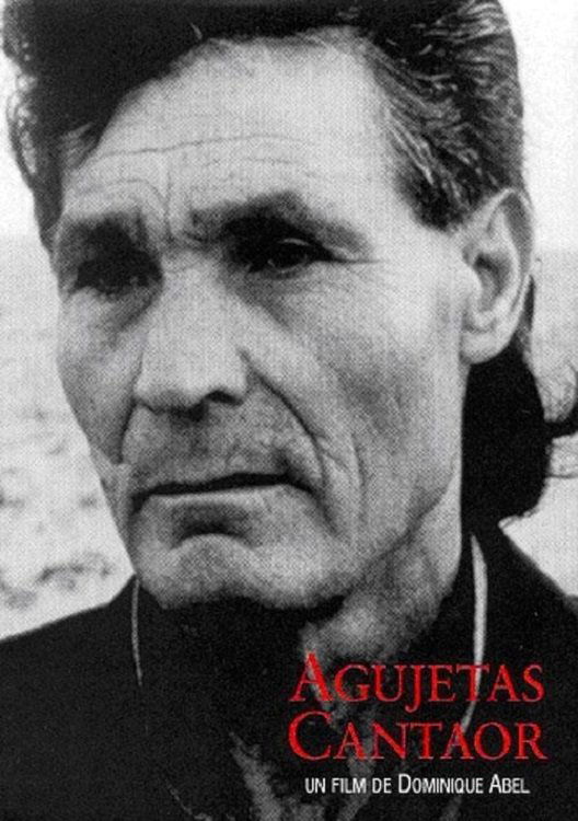 Poster de Agujetas Cantaor