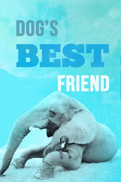 Poster de Dog's Best Friend