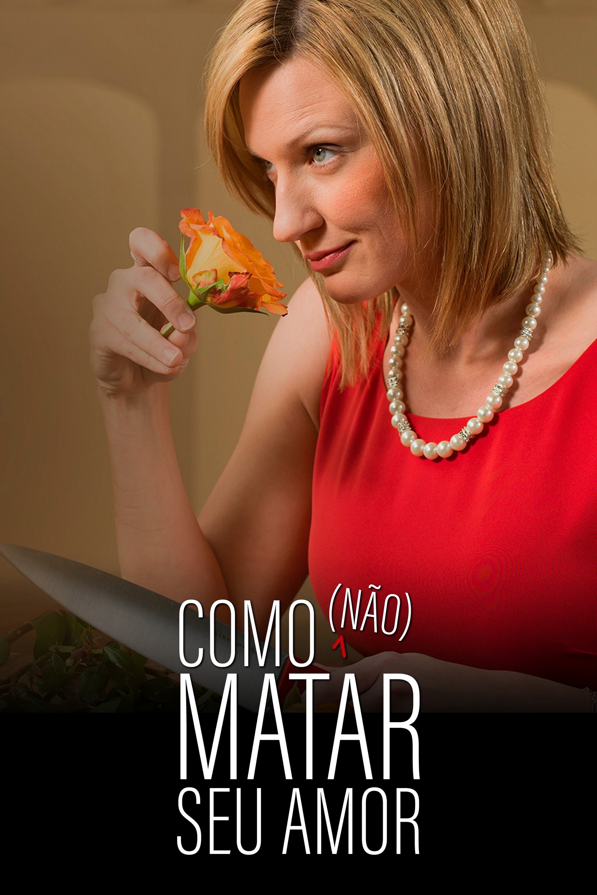 Poster de Como Não Matar Seu Amor