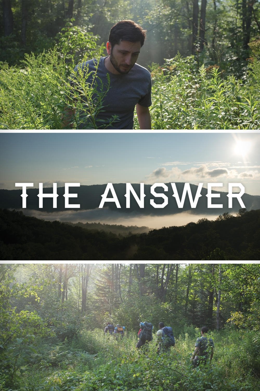 Poster de The Answer