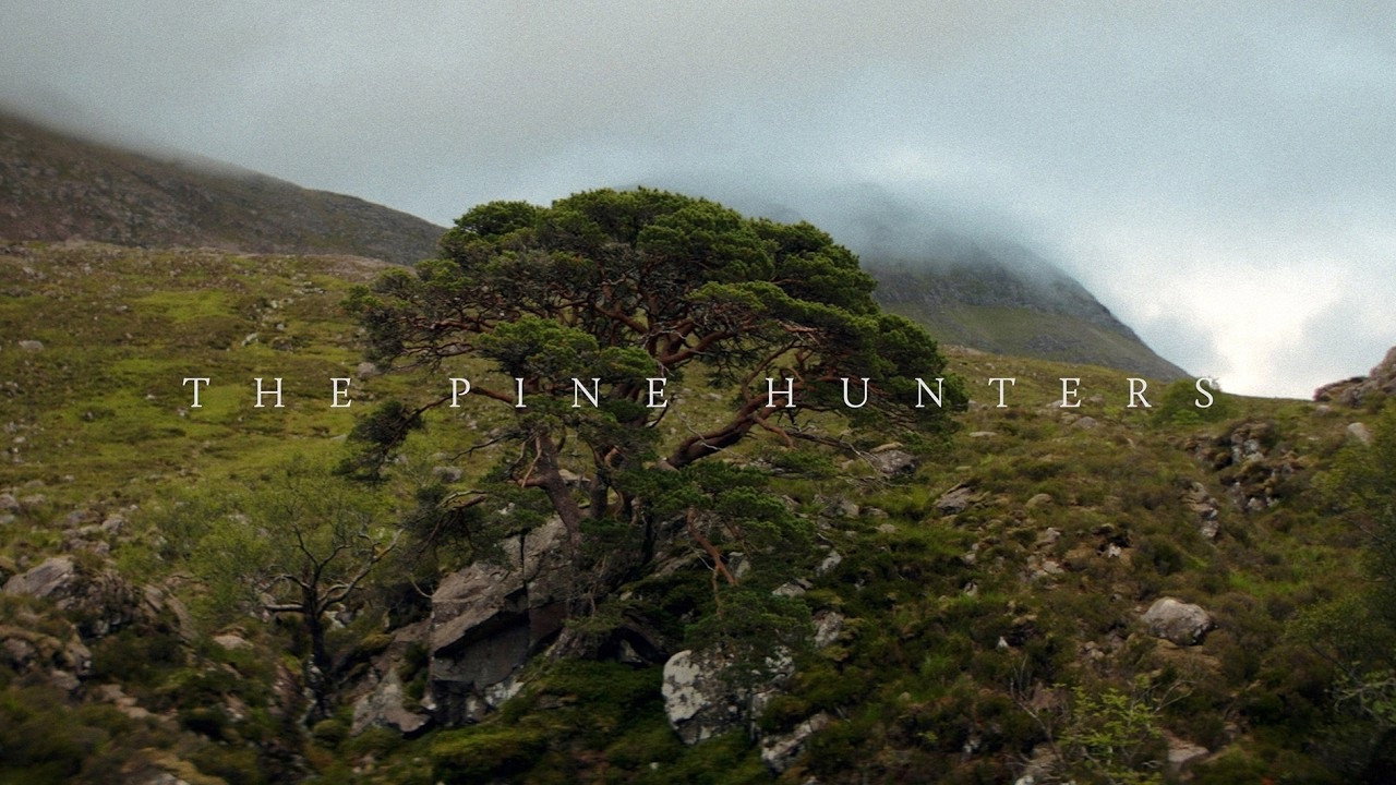 The Pine Hunters