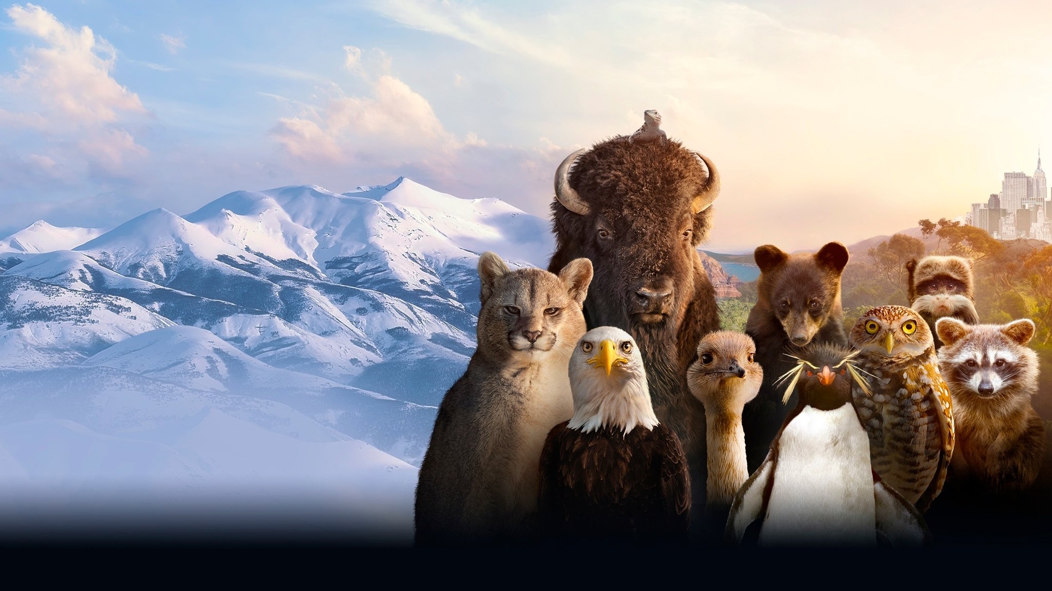 Backdrop image