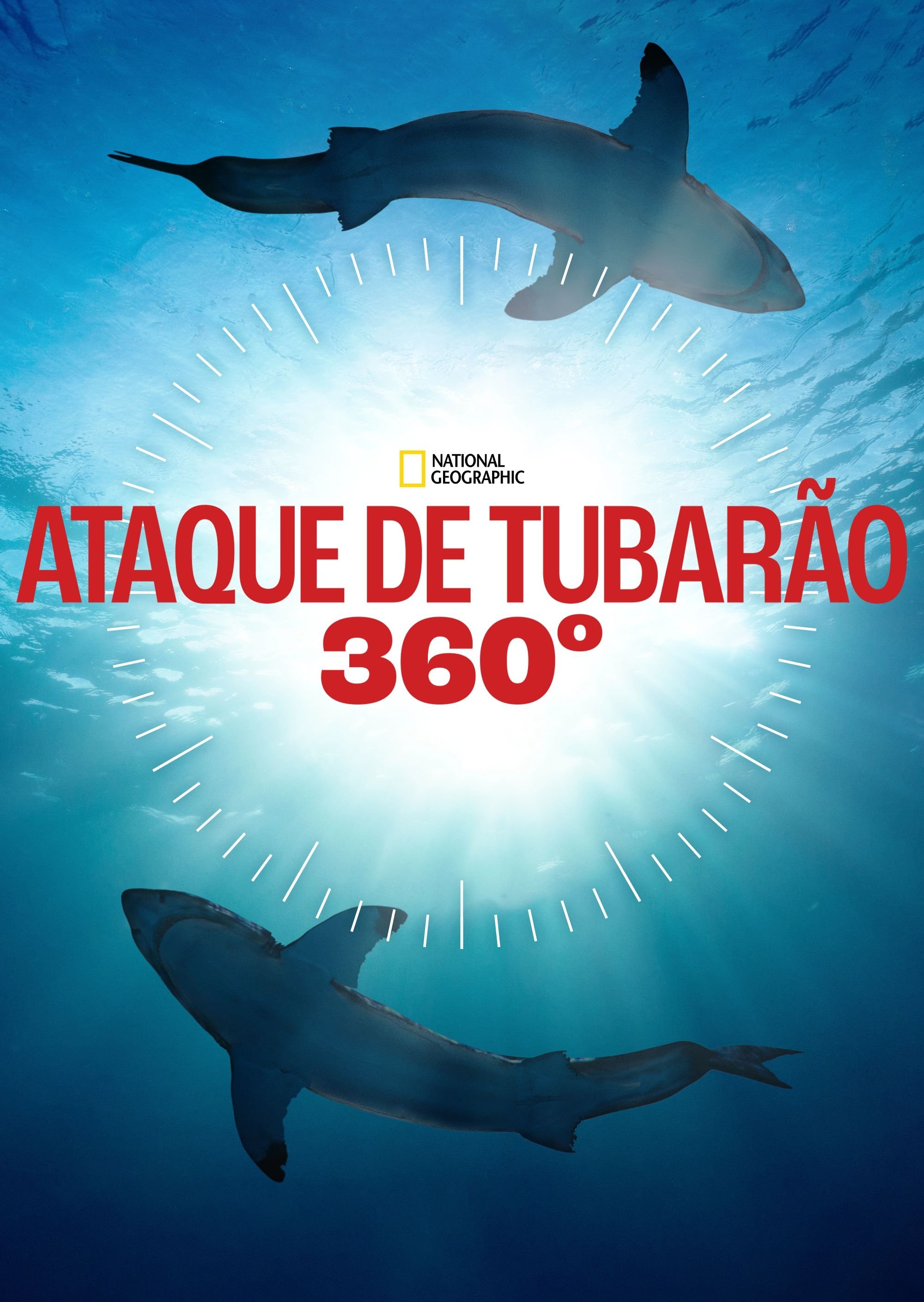 Poster de Ataque de Tubarão 360°