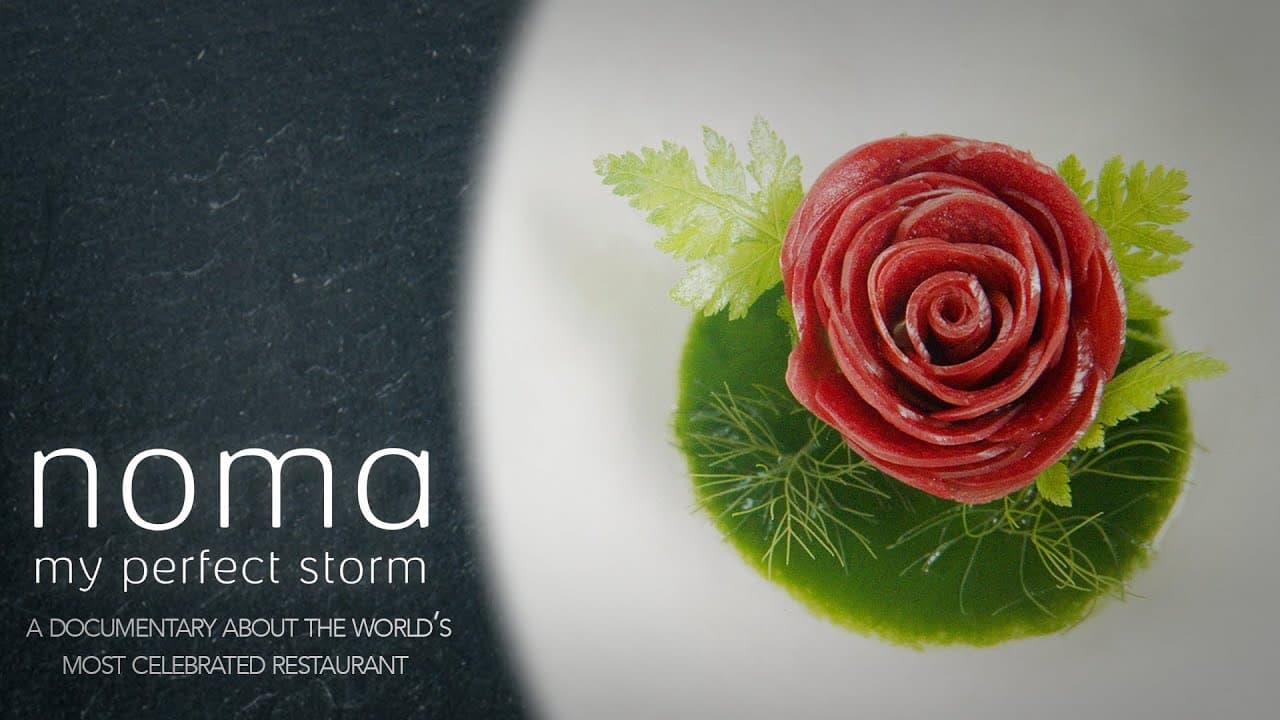 Noma: My Perfect Storm 2015 123movies