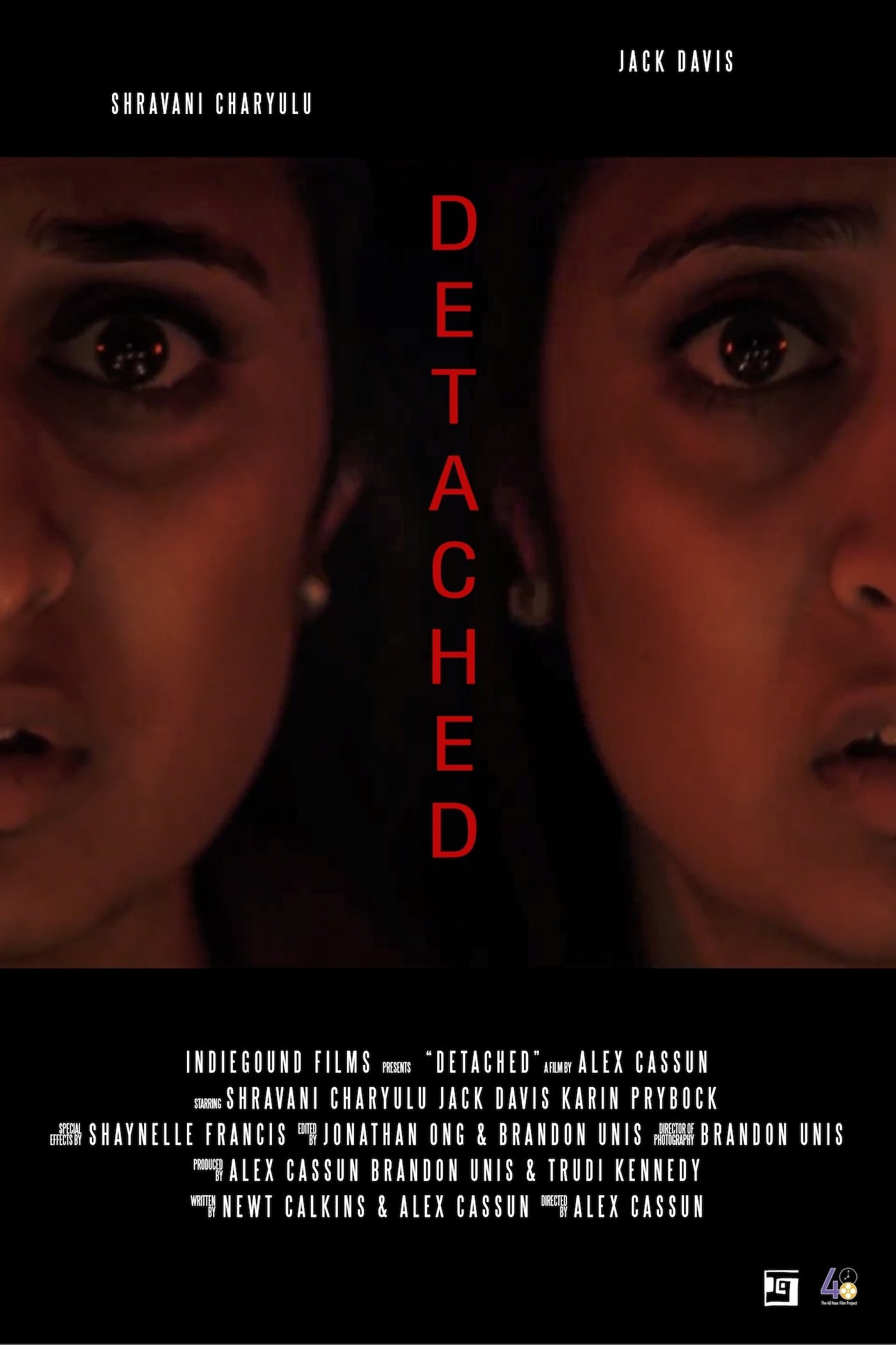 Poster de Detached