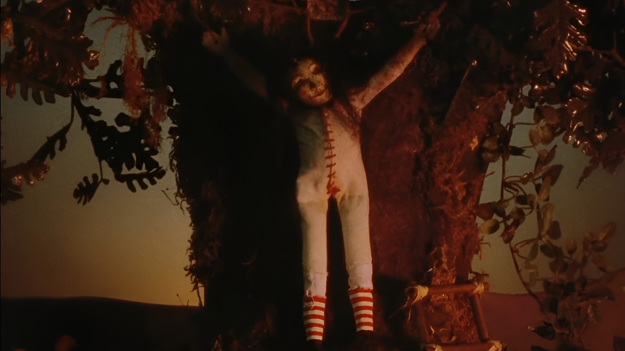 Backdrop image