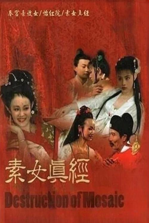 Poster for 素女真经之怡红院