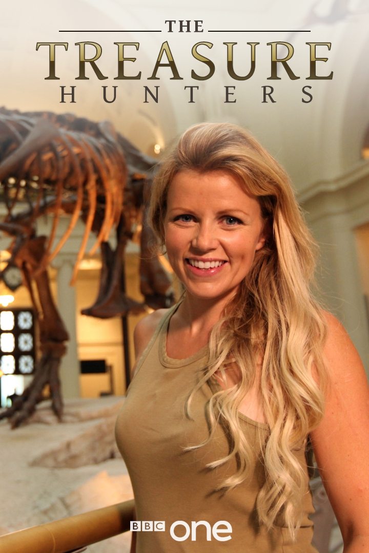Poster de The Treasure Hunters
