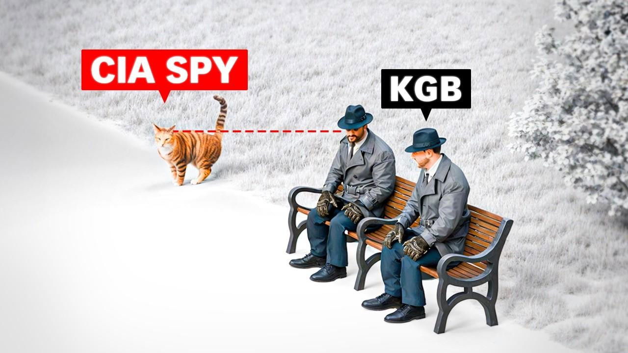 How the CIA uses animals to spy