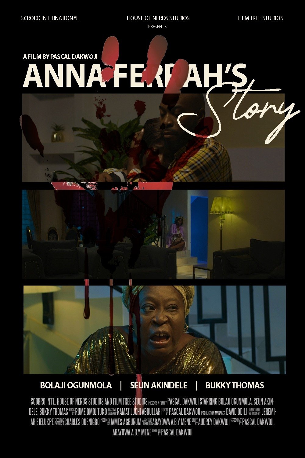 Poster de Anna Ferrah's Story