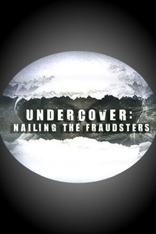 Poster de Undercover: Nailing the Fraudsters