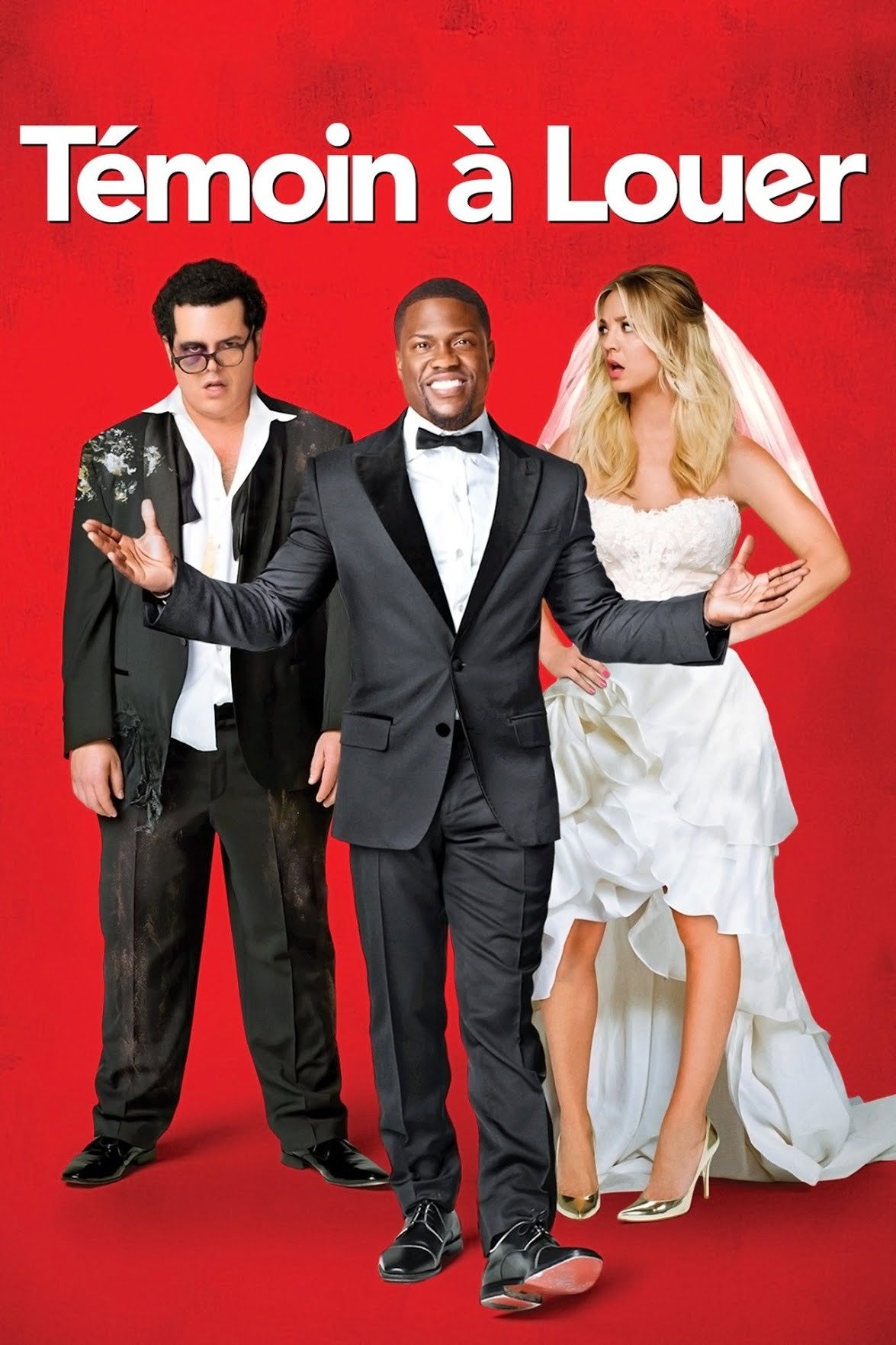 Affiche du film Témoin à louer