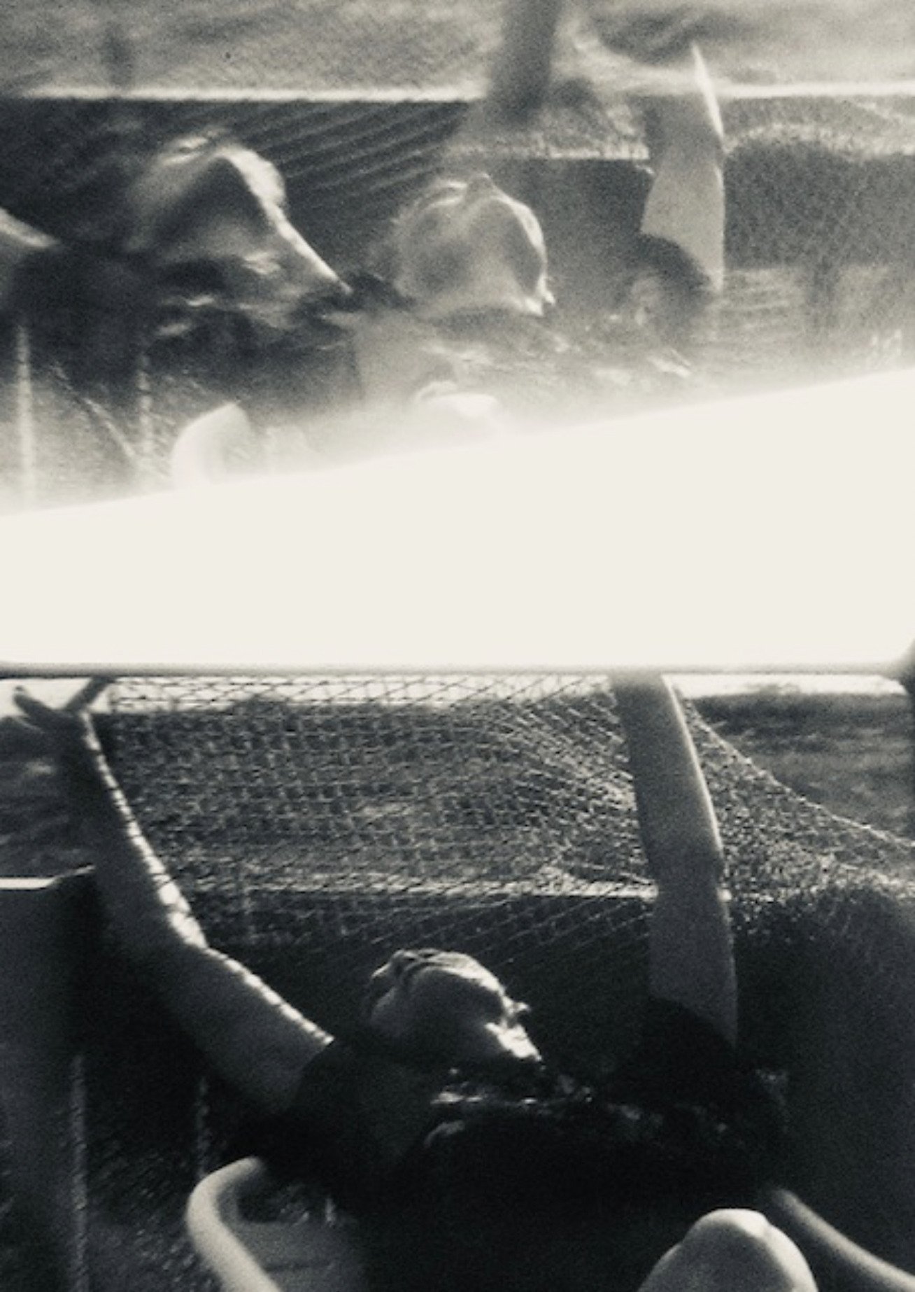 Poster de This Day’s Madness did prepare Tomorrow’s Silence