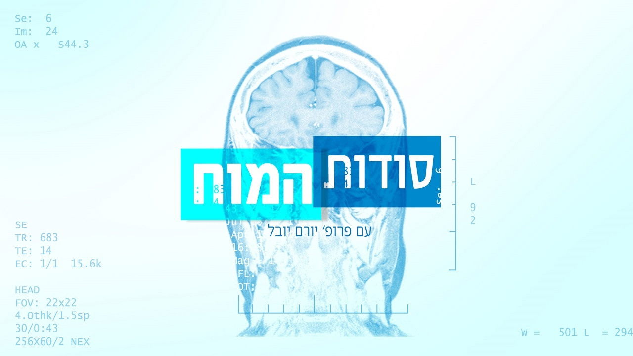סודות המוח