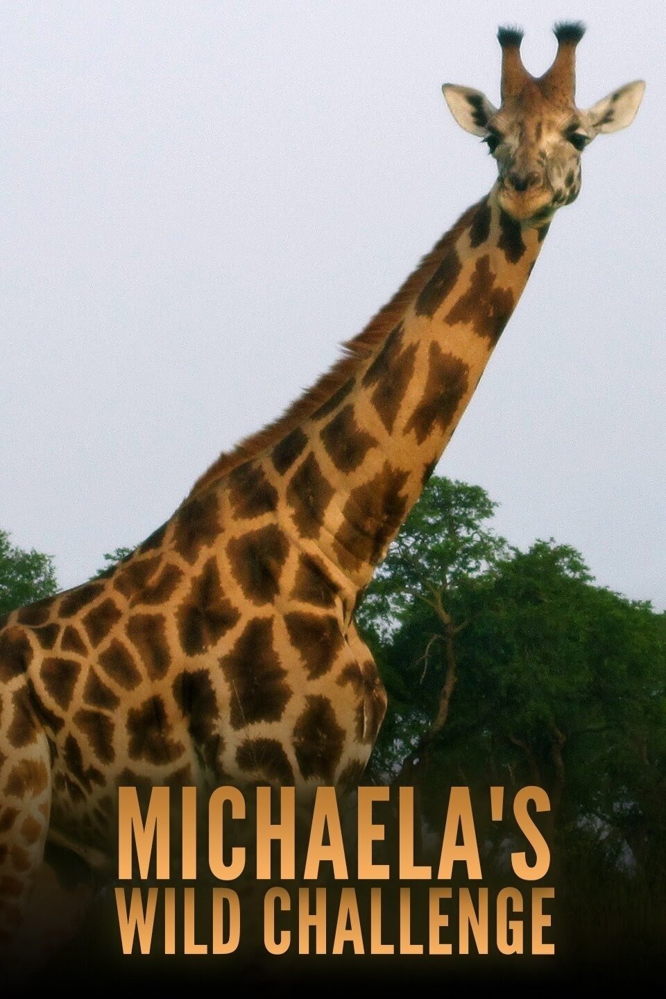 Poster de Michaela's Wild Challenge