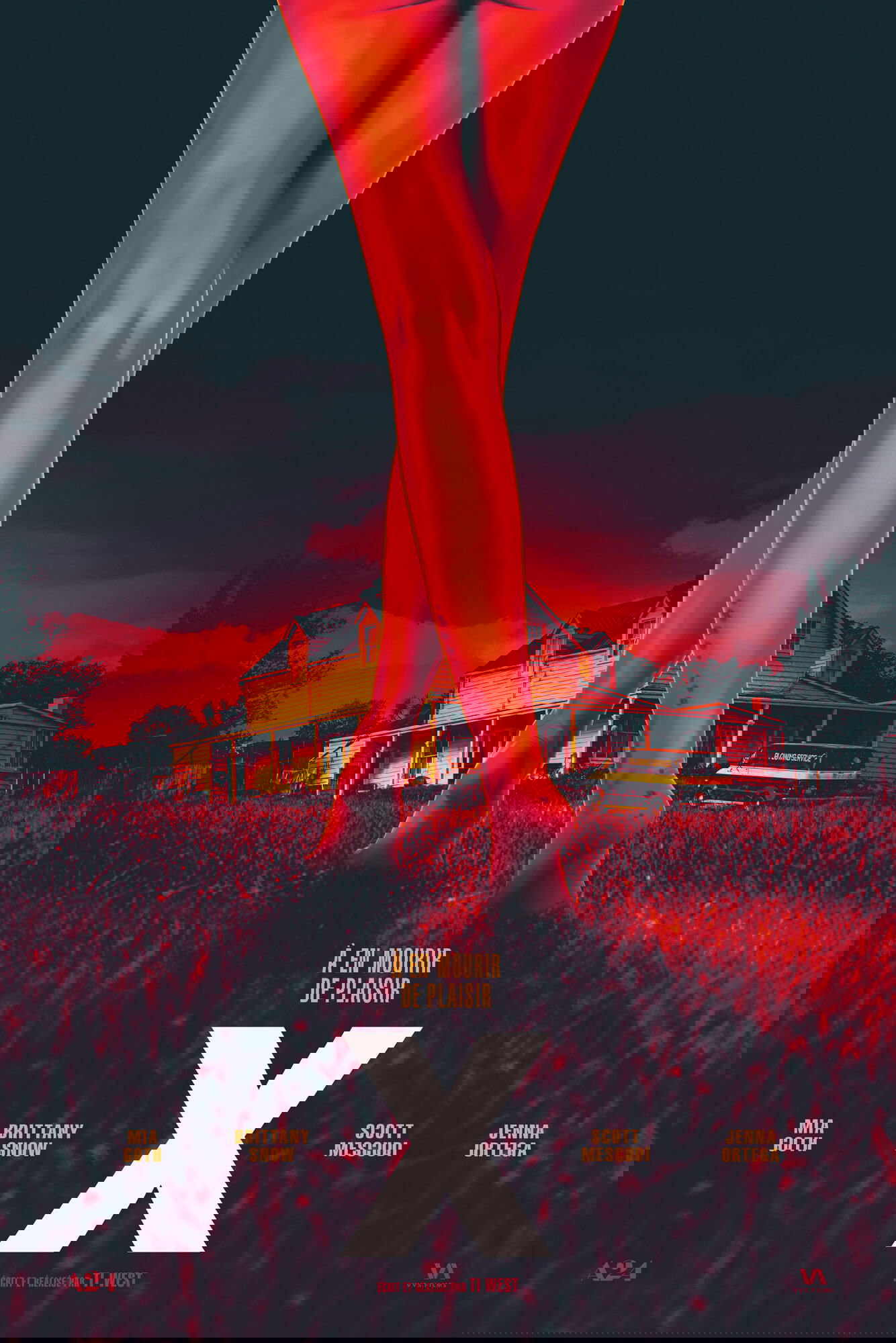 Affiche du film X