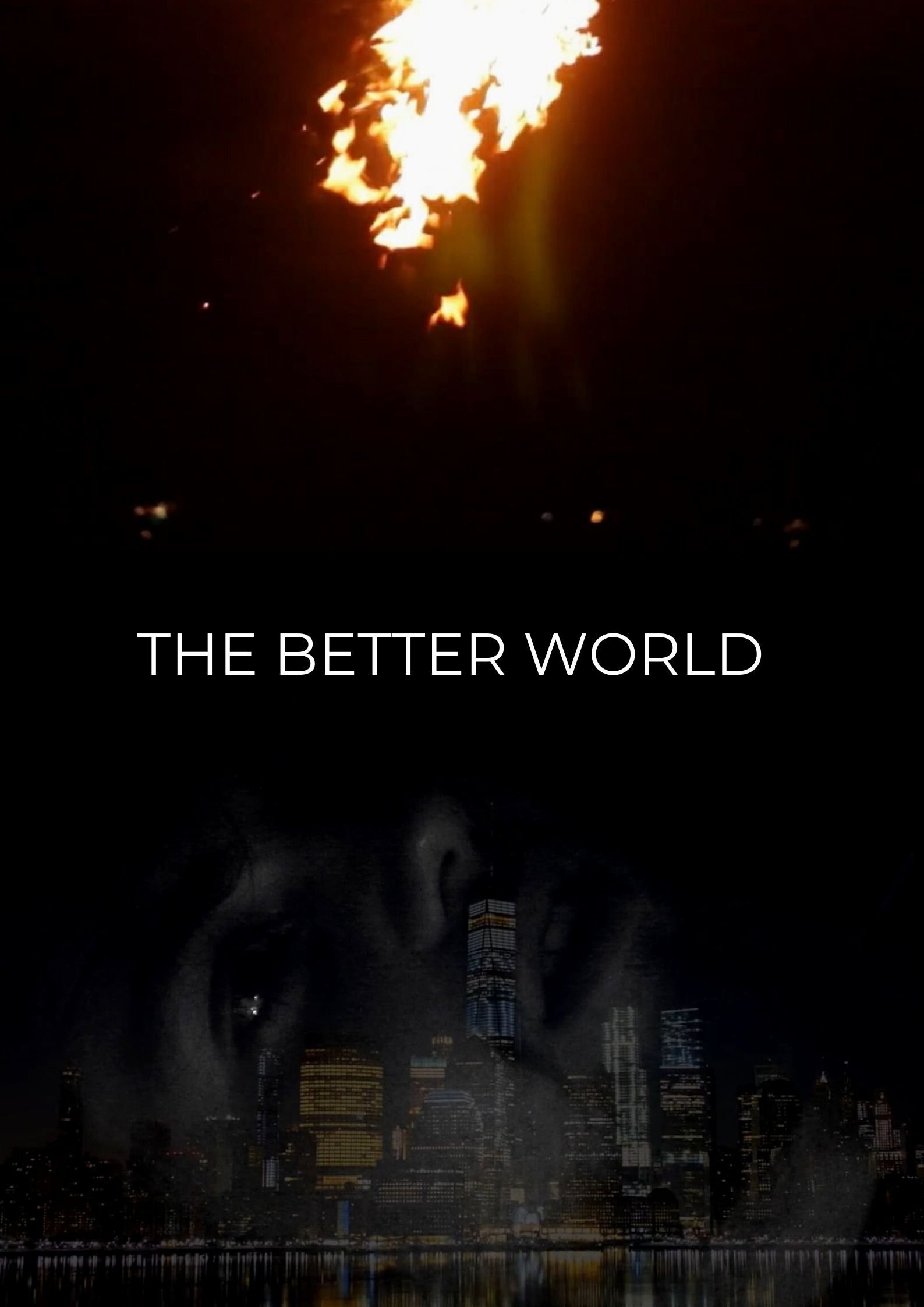 Poster de The Better World