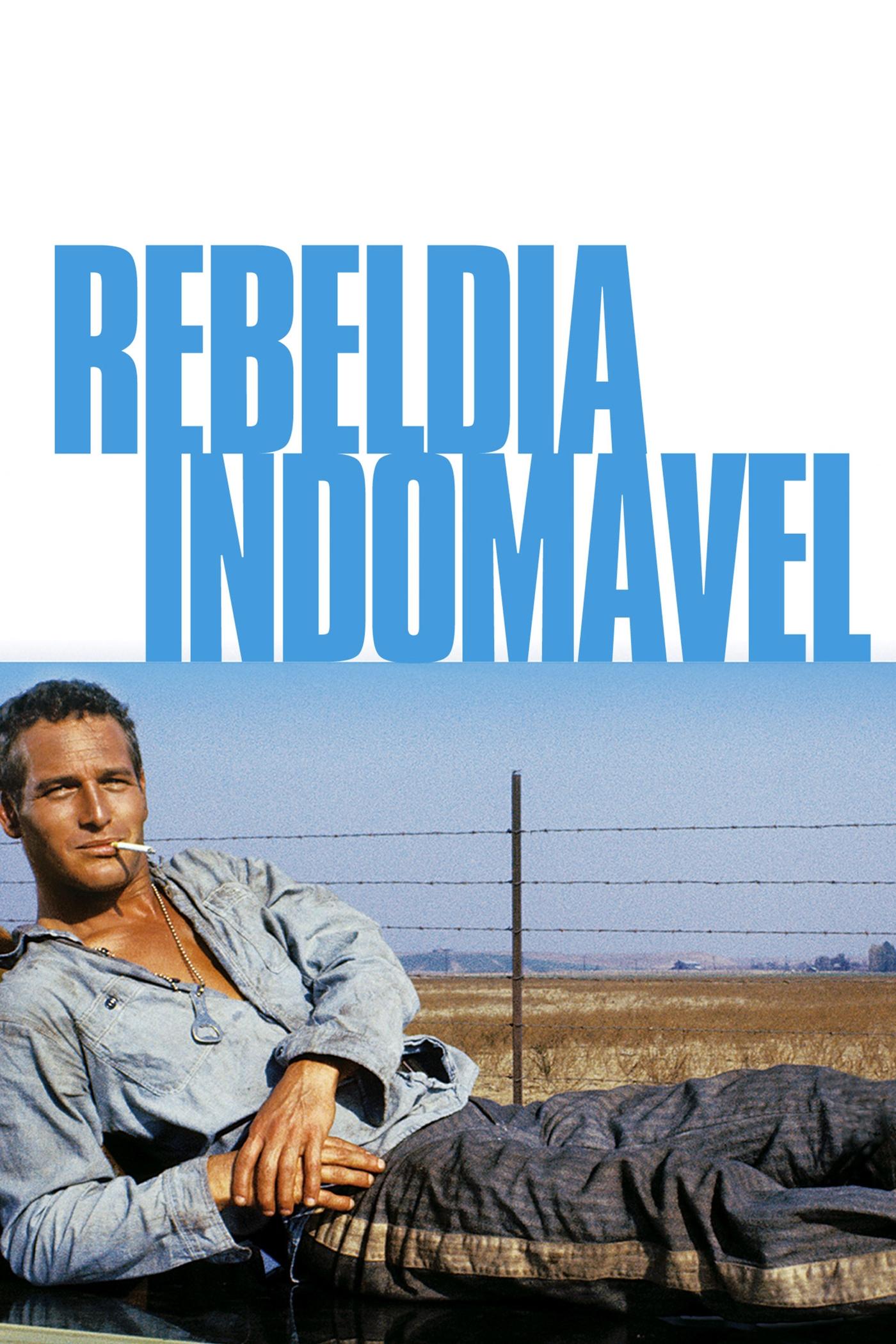 Poster de Rebeldia Indomável