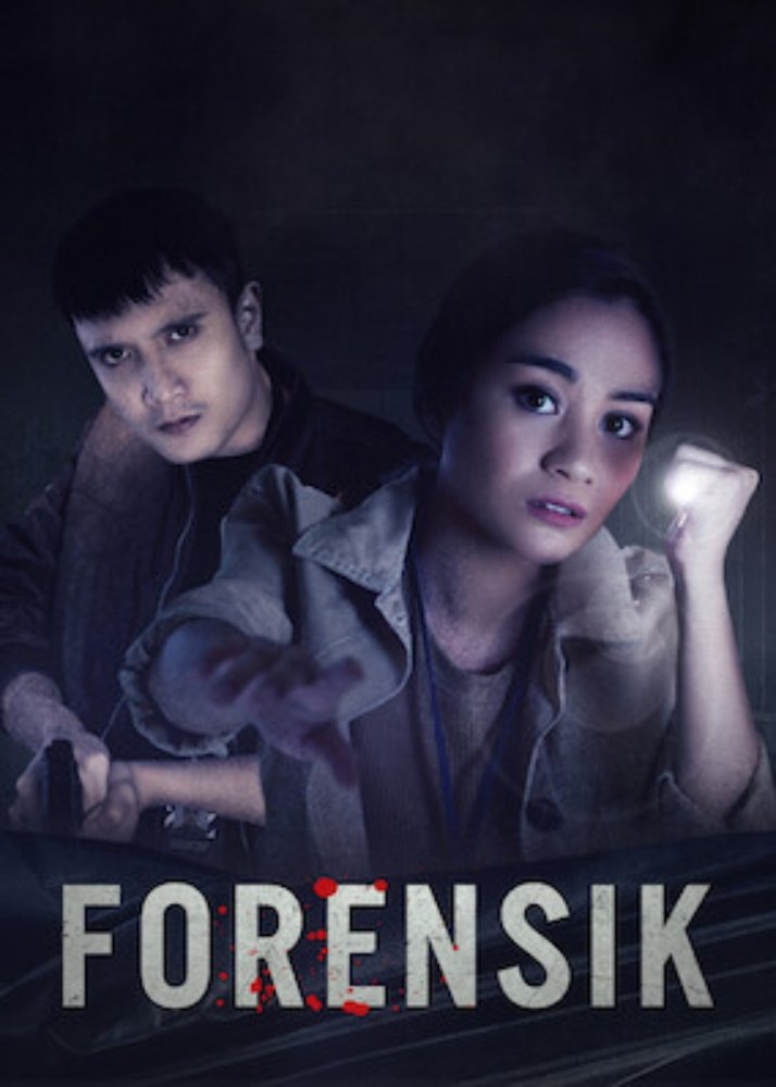 Poster de Forensik