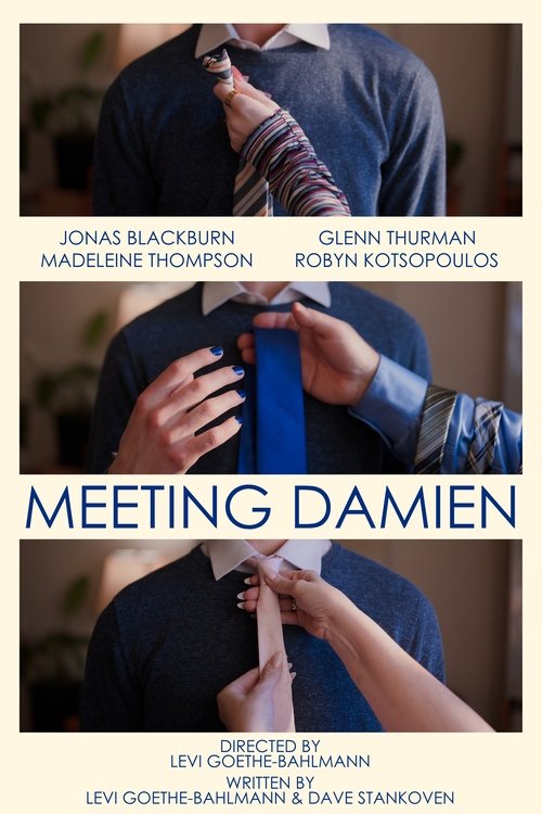 Poster de Meeting Damien