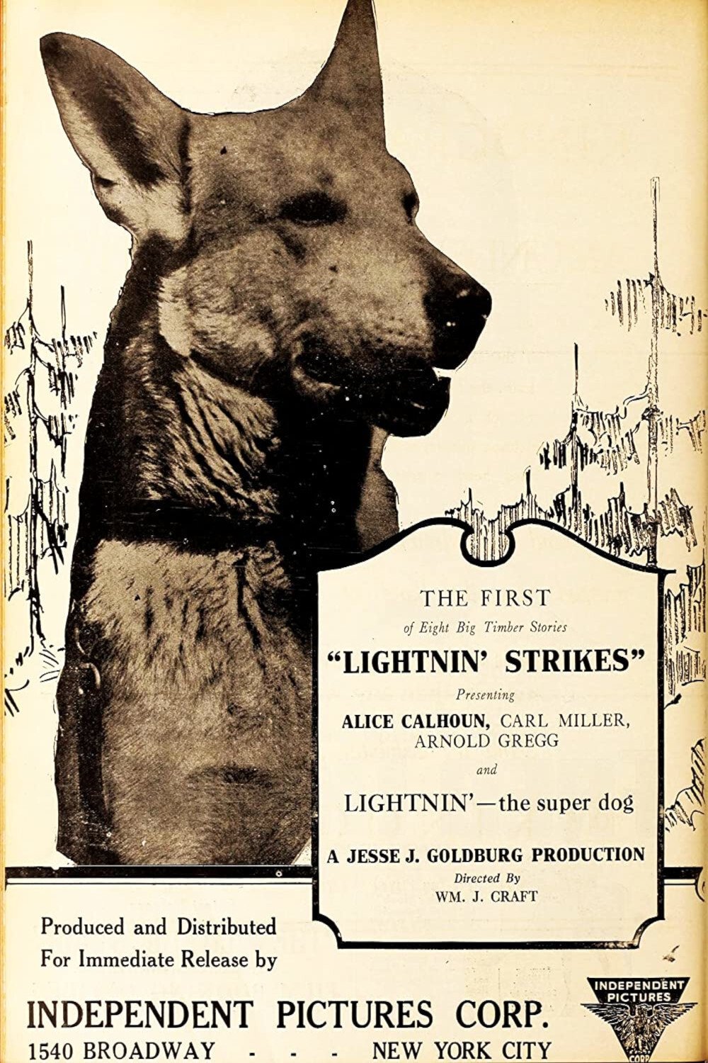 Poster de Lightnin' Strikes