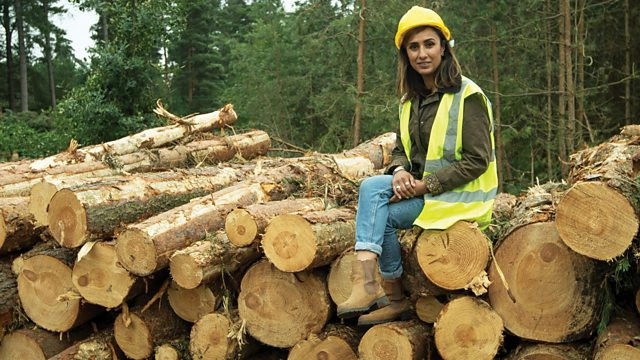 Royal Special: Windsor