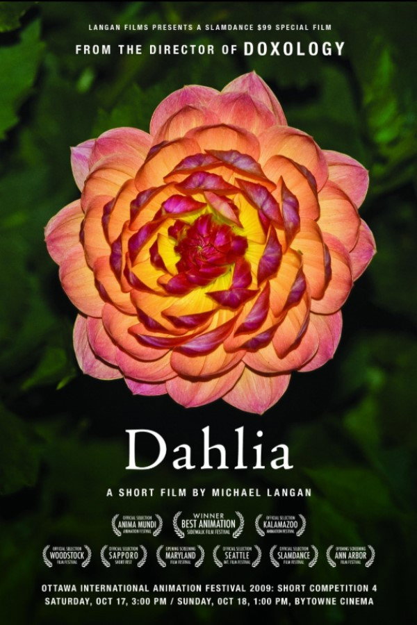 Poster de Dahlia