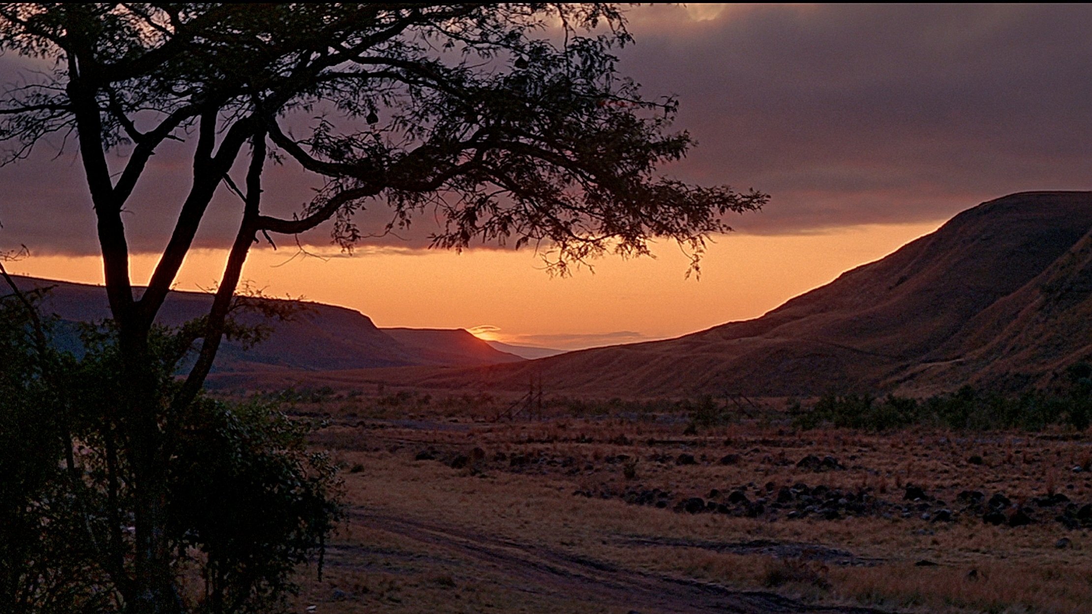 Backdrop image