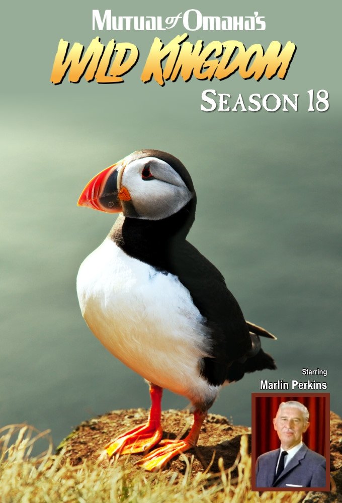 Poster de Temporada 18