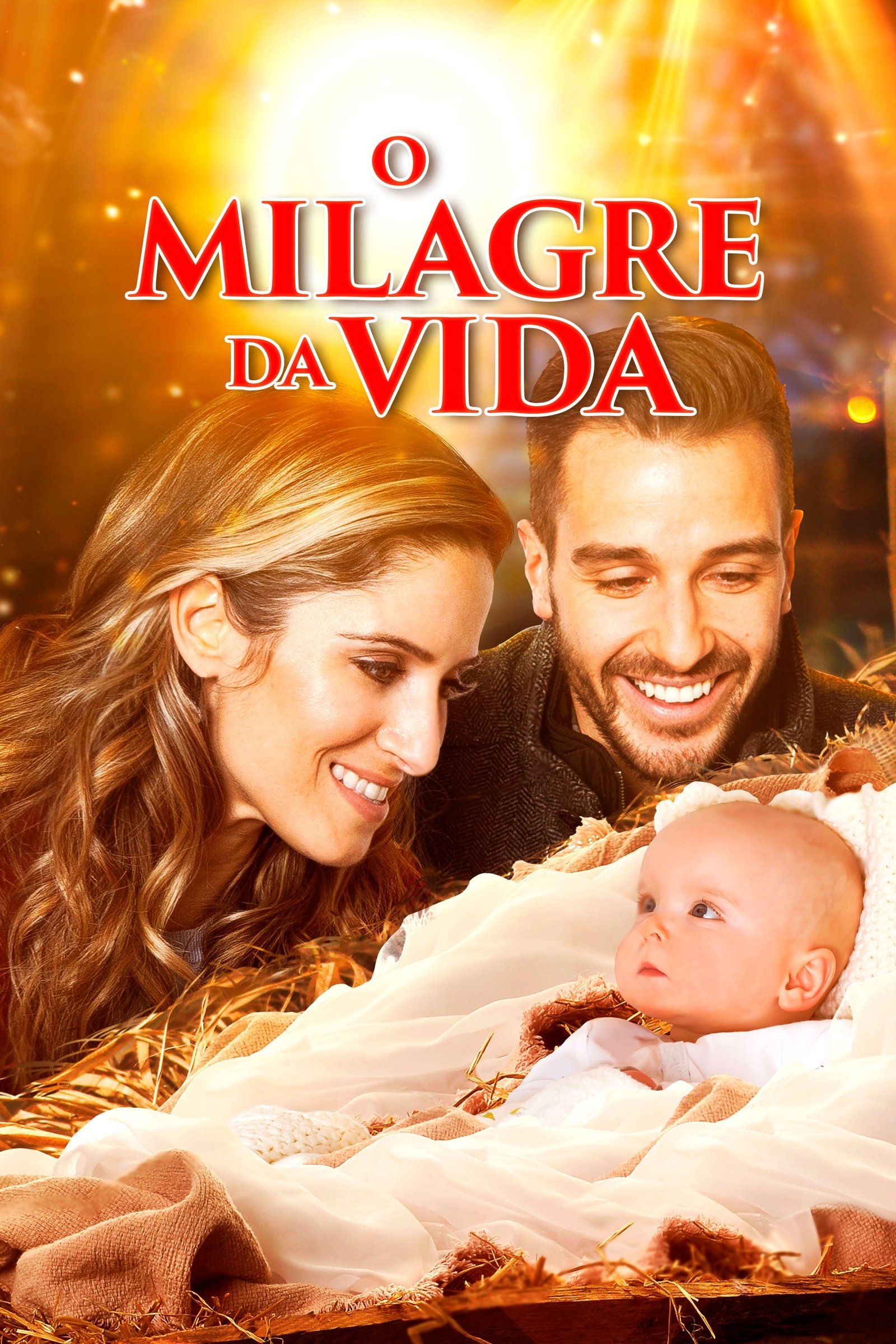 Poster de O Milagre da Vida