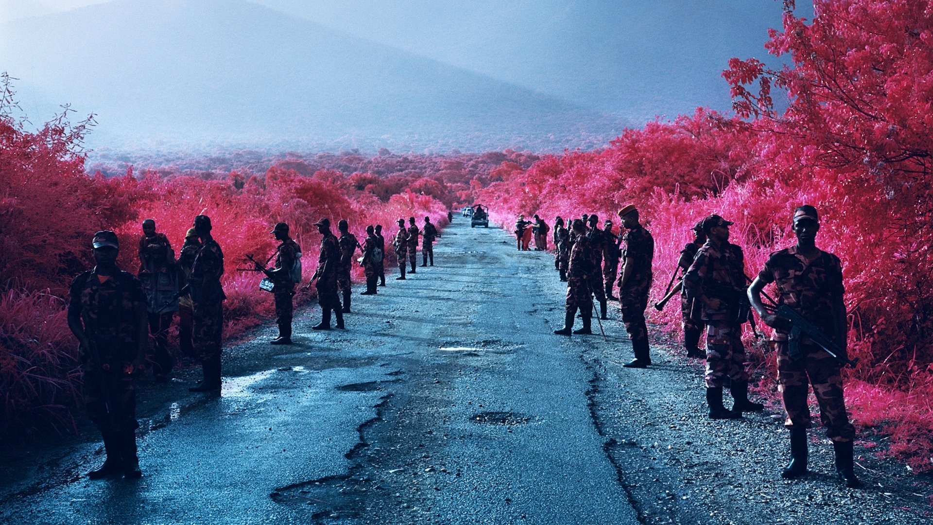 Backdrop