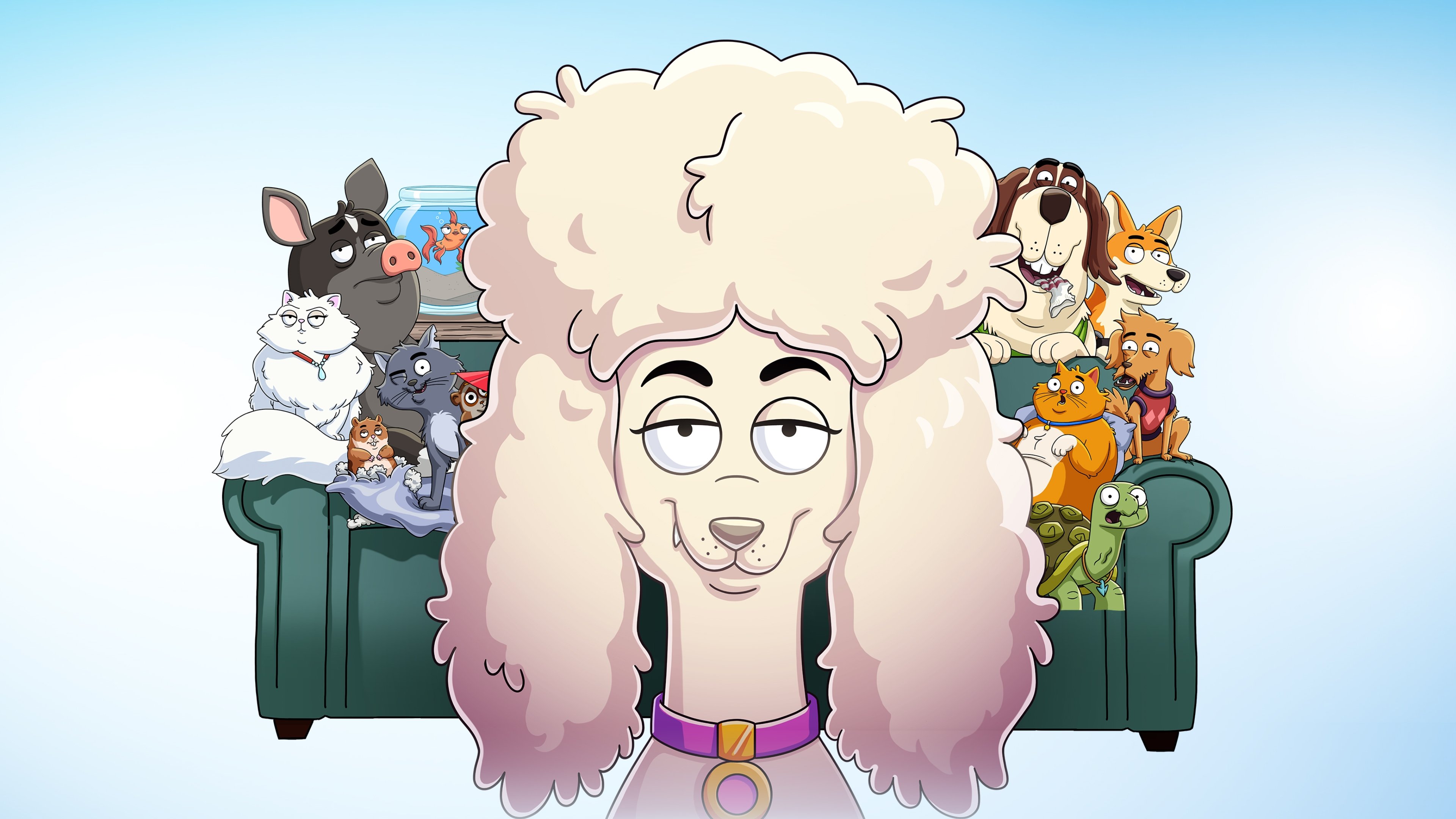 Backdrop image