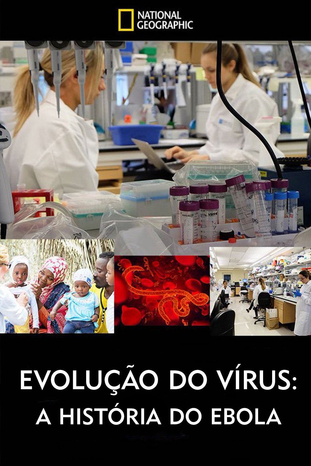 Poster de Evolução do Vírus: A História do Ebola