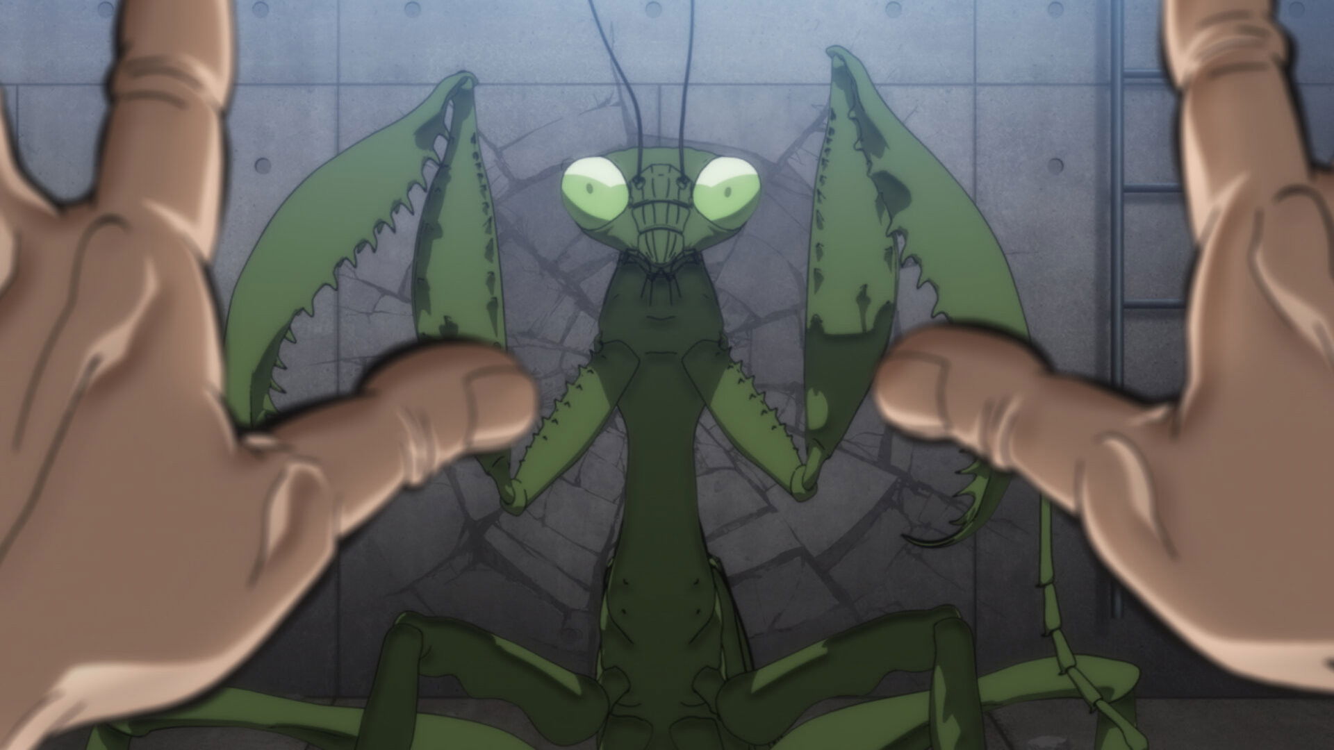 Mixed species' martial arts