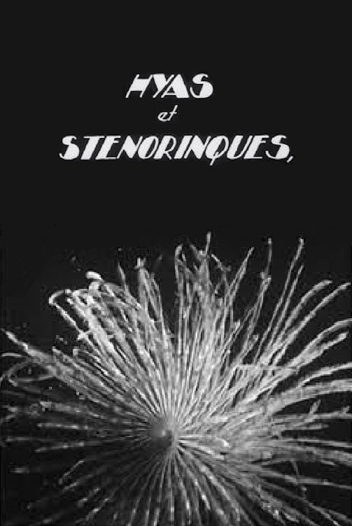 Poster movie