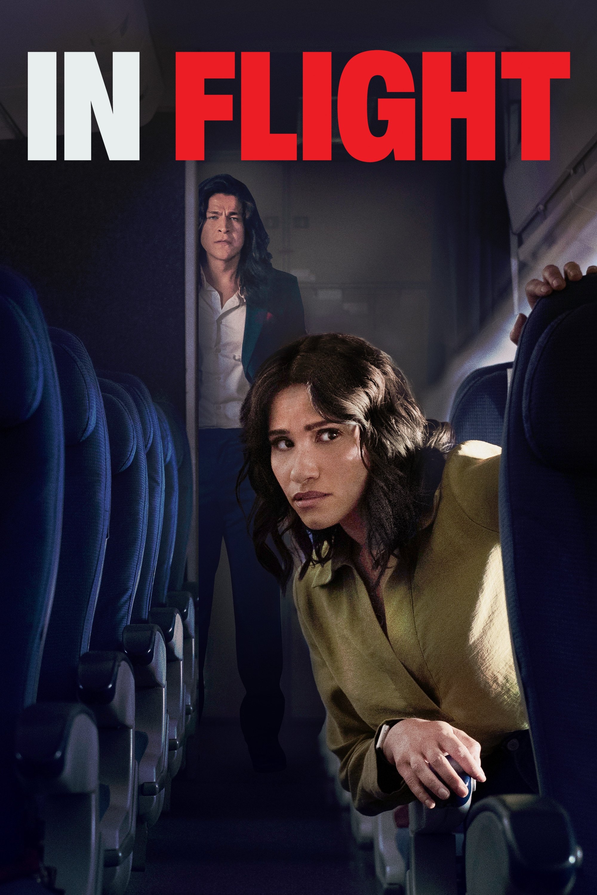Poster for In Flight