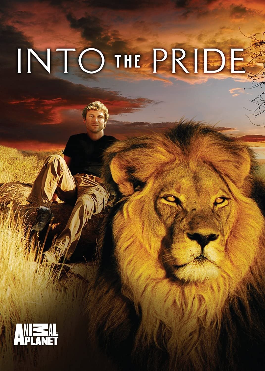 Poster de Into The Pride
