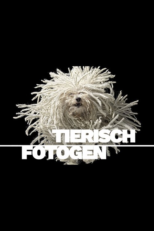 Poster de Tierisch fotogen