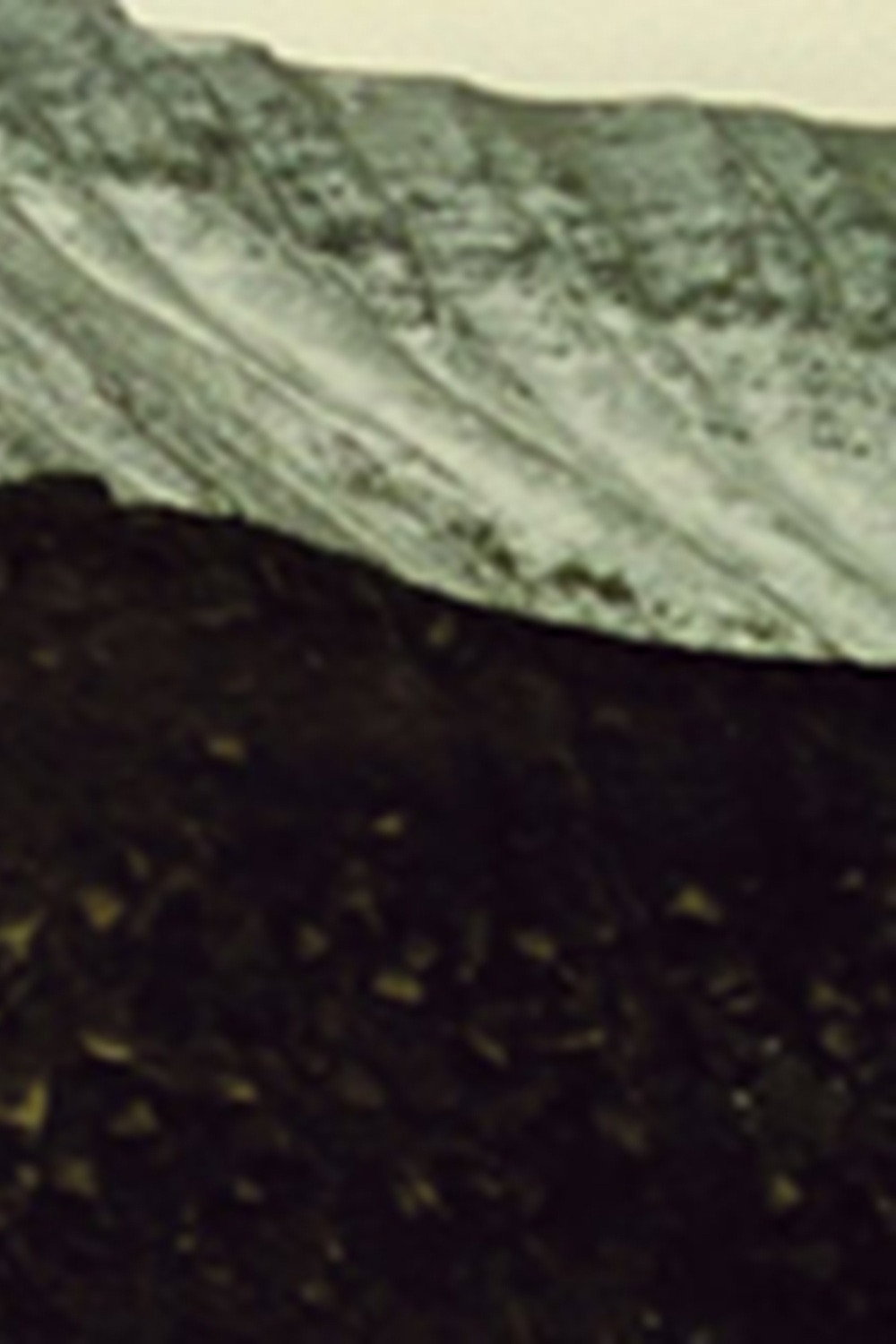 Backdrop