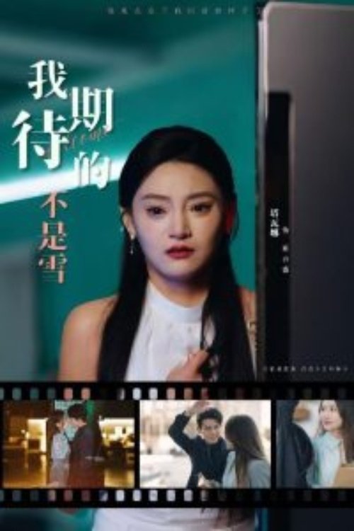 Poster de 我期待的不是雪