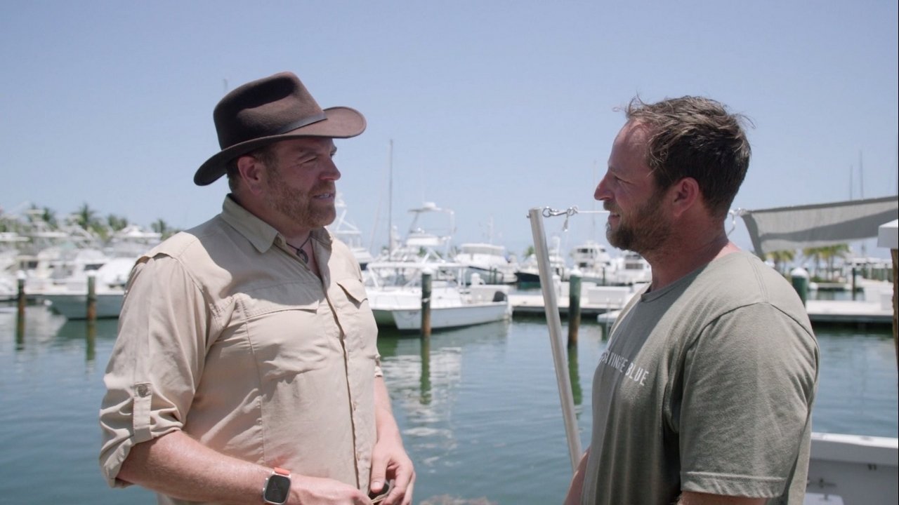 Sharks vs. Nazis in Paradise