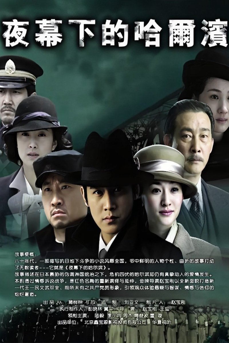 Poster de 夜幕下的哈尔滨