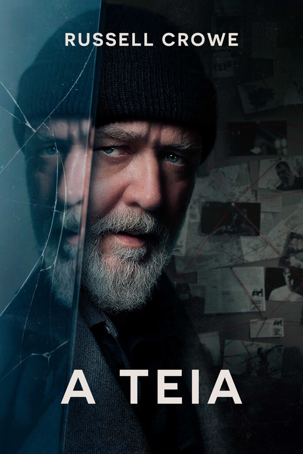 Poster de A Teia
