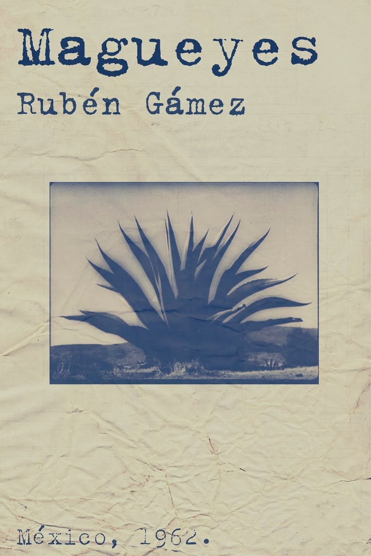 Poster de Magueyes