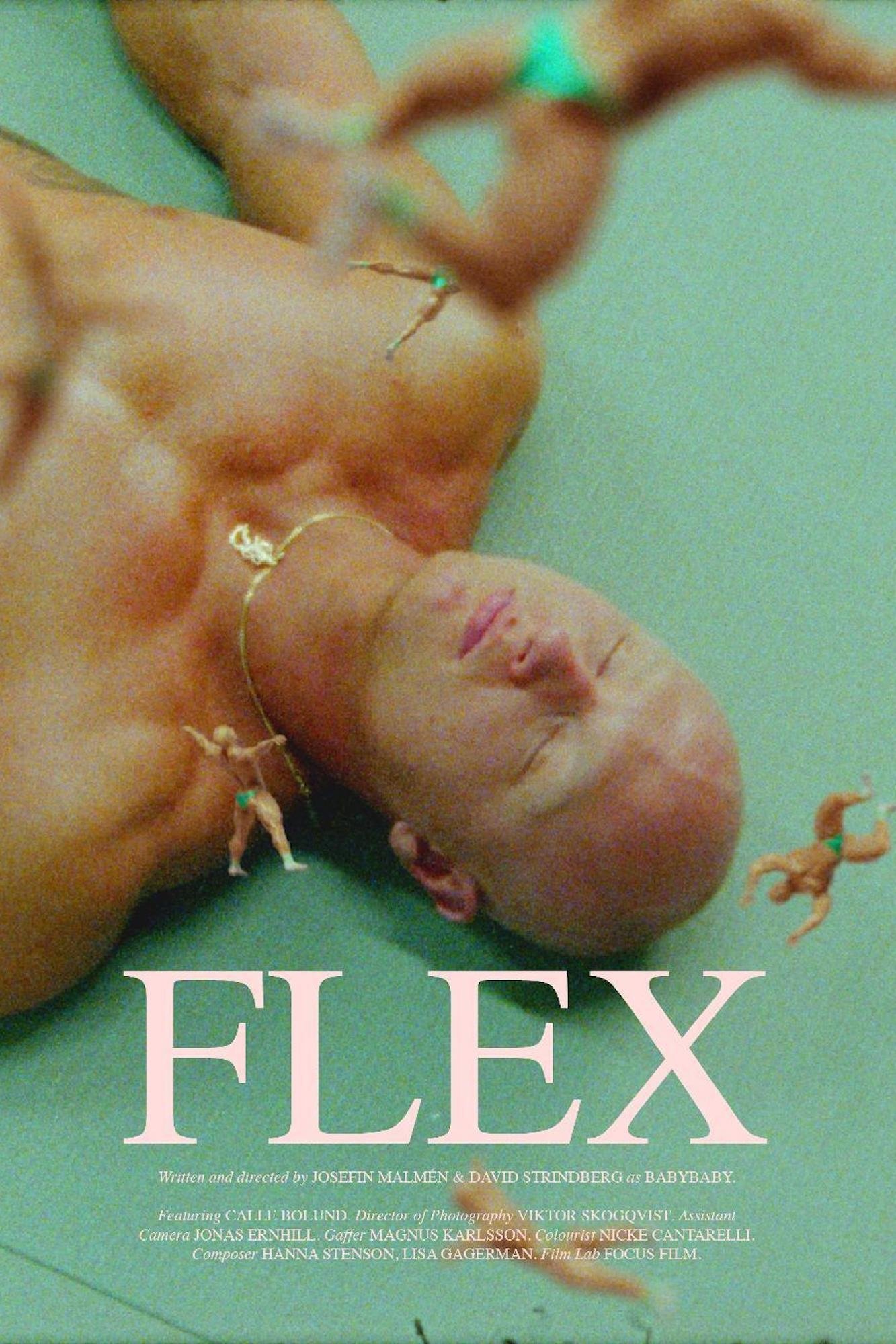 Poster de Flex