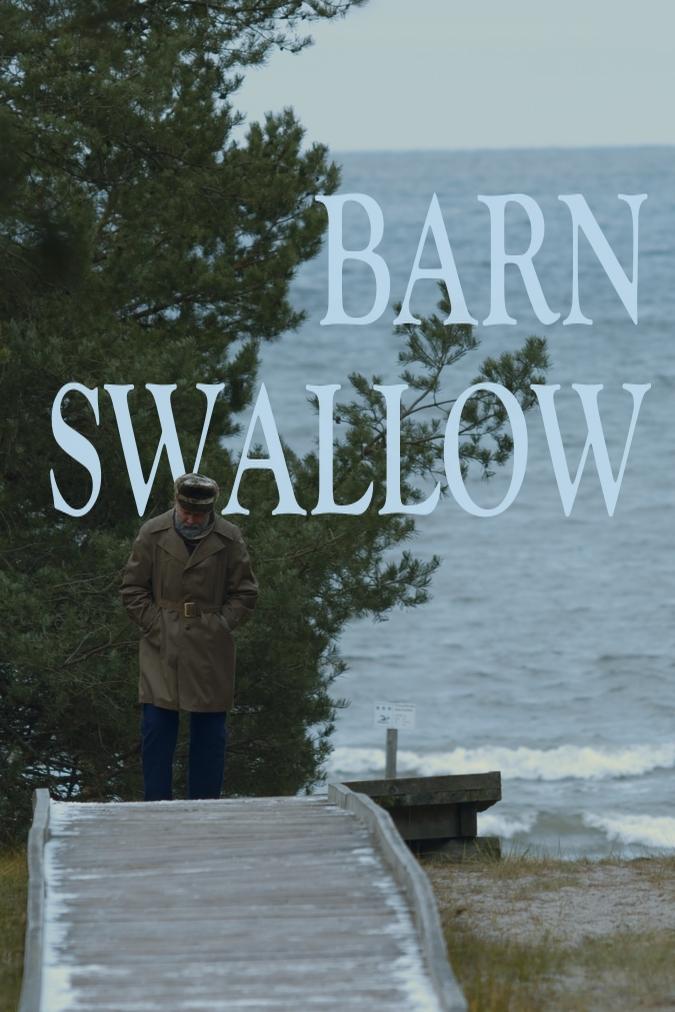 Poster de Barn Swallow