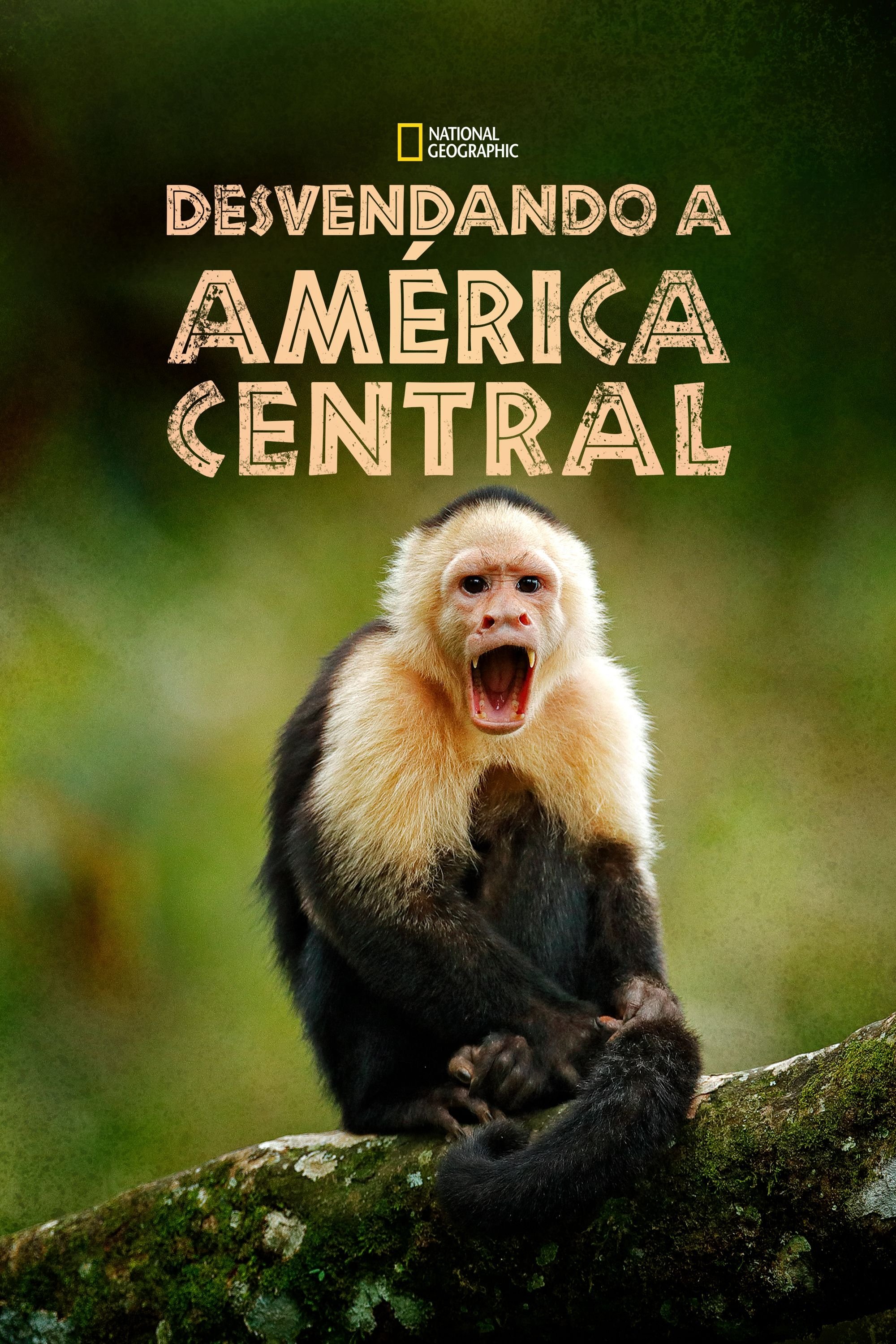 Poster de Desvendando a América Central