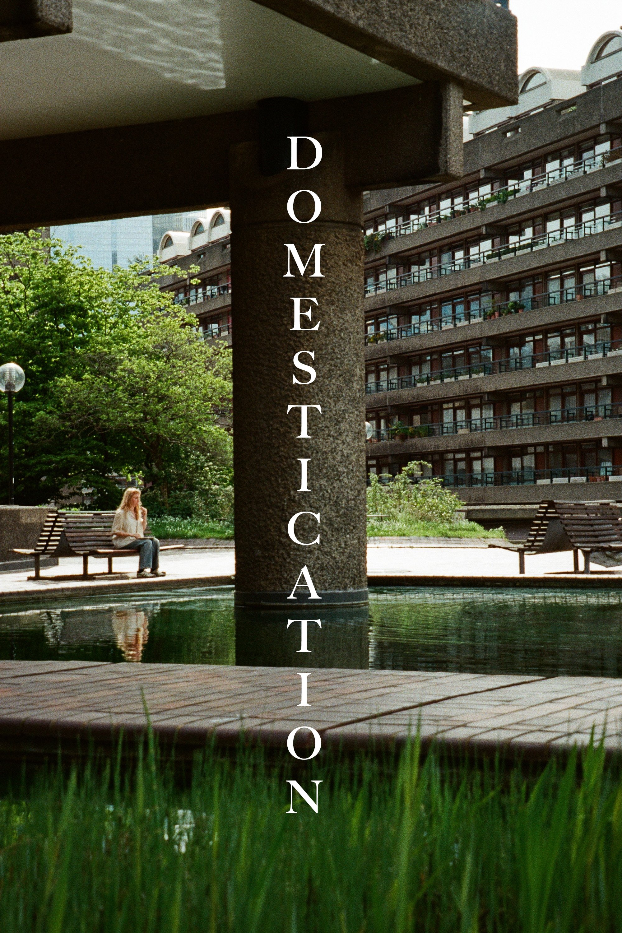 Poster de Domestication