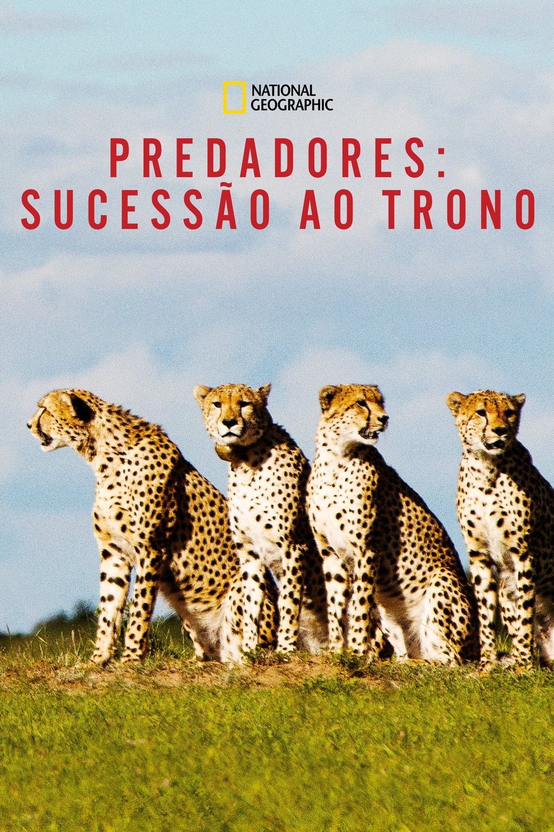 Poster de Predadores: Sucessão ao Trono
